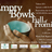 2011 flyer